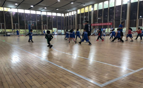 北京东方启明星篮球课程怎么样